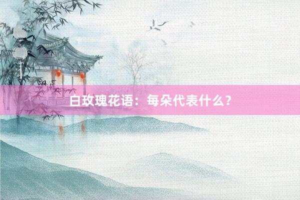 白玫瑰花语：每朵代表什么？